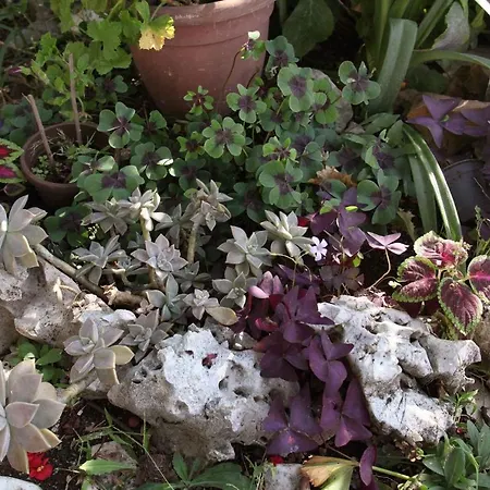 Okrug Donji 6 Apartamento Donji Okrug (Ciovo)